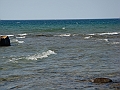 Western Michigan [2010] 855
